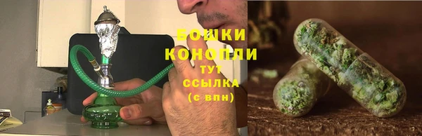 спайс Аркадак