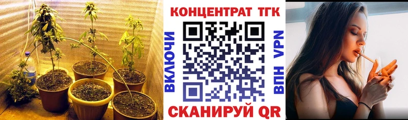 ТГК Wax  Пошехонье 