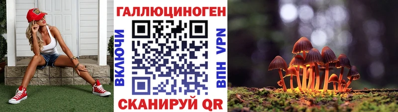 Псилоцибиновые грибы Psilocybine cubensis  Пошехонье 
