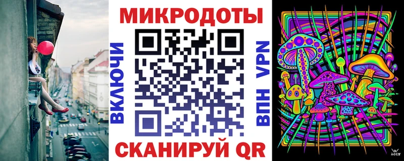 Галлюциногенные грибы Psilocybe Пошехонье